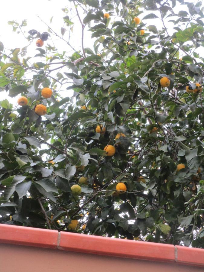 شقة Il Piccolo Eden - Private Garden ليفورنو المظهر الخارجي الصورة